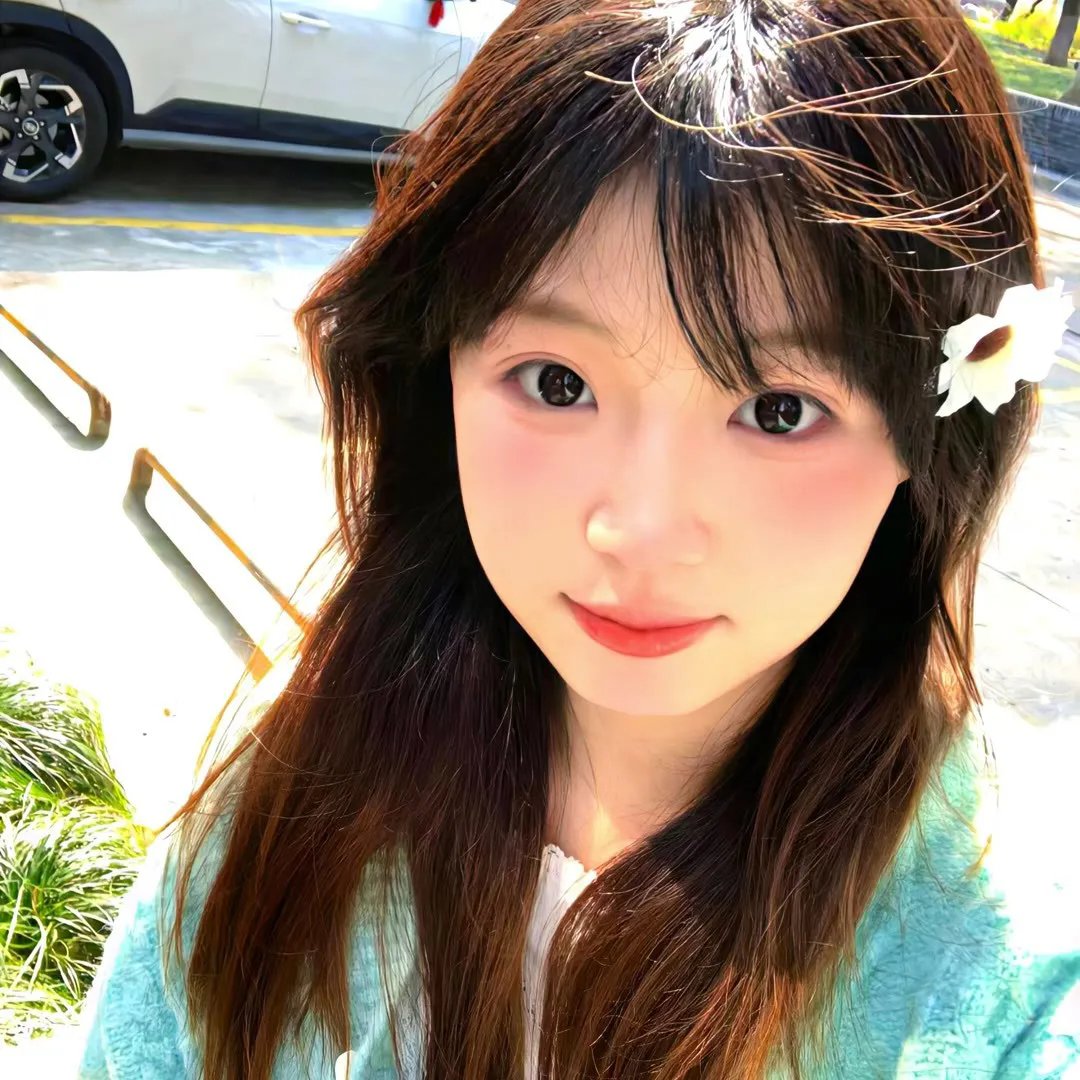 精忠岳飞